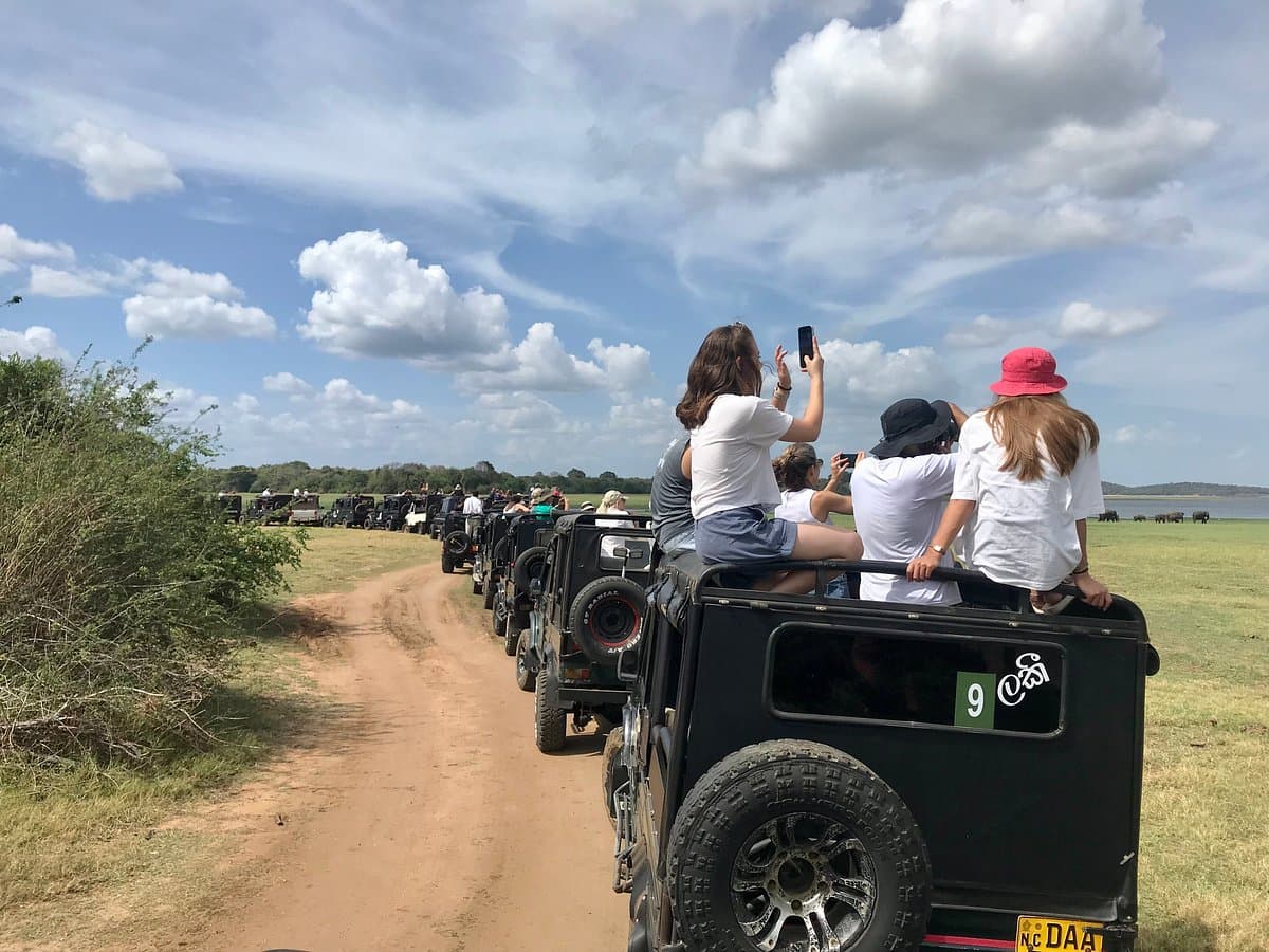 Sunset over Kaudulla National Park safari