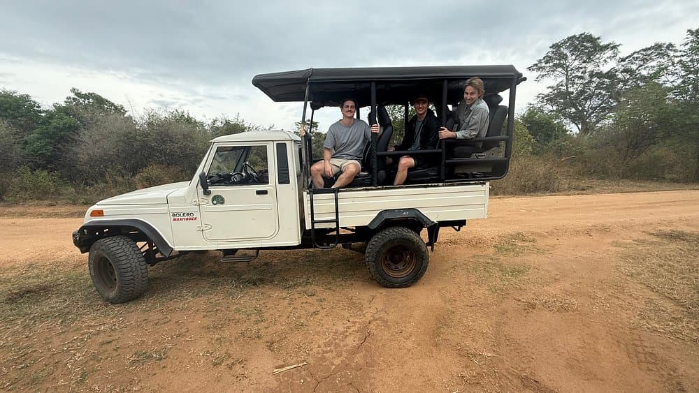 Golden Hour Wildlife