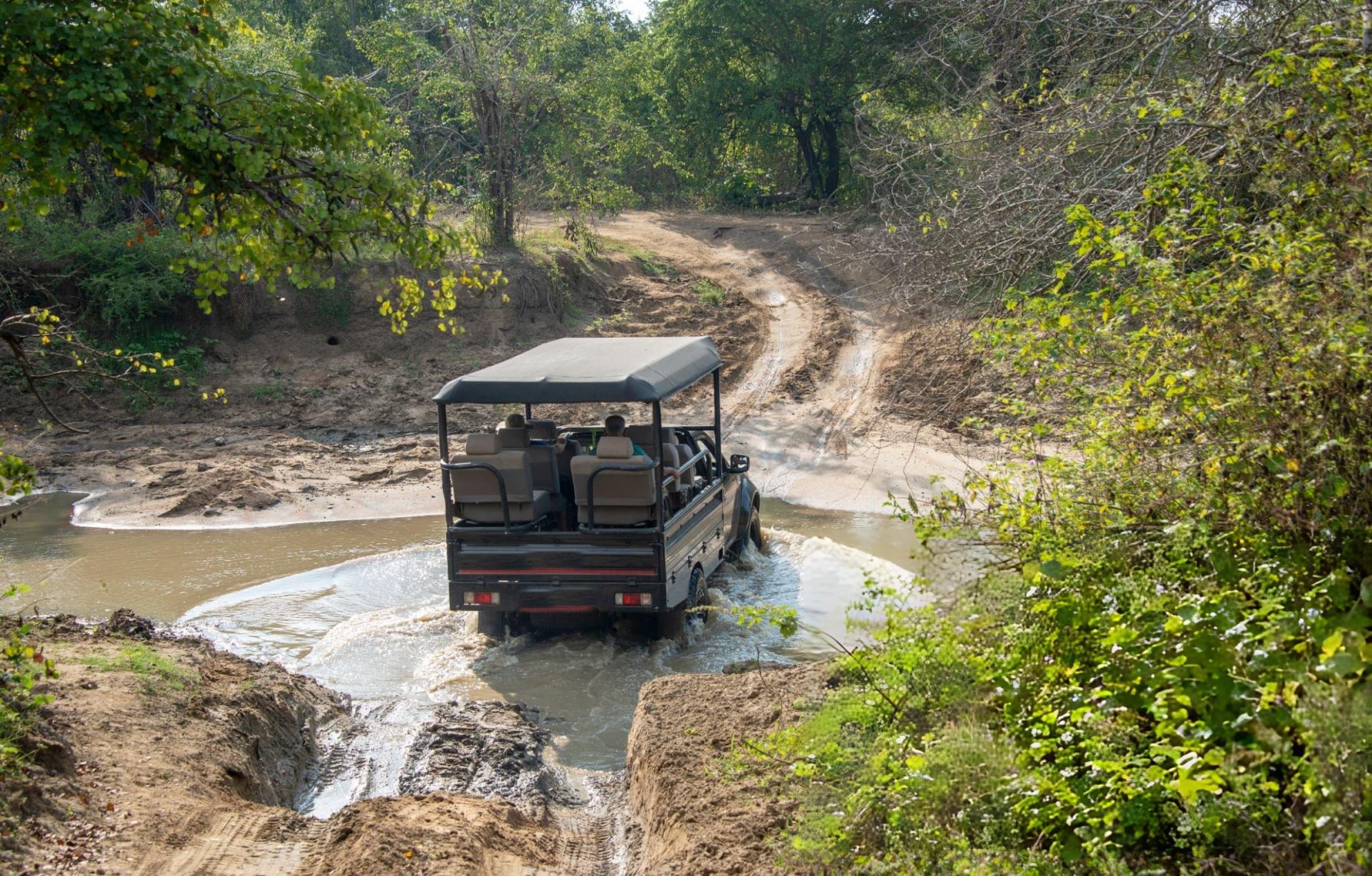Leopard in Udawalawe wilderness