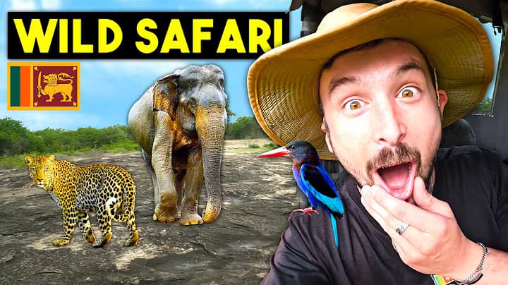 500 Elephants: Udawalawe's Greatest Wildlife Spectacle