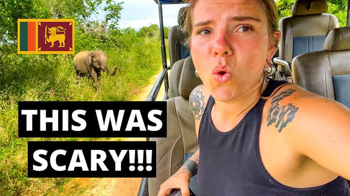 Sloth Bear Encounter – Udawalawe National Park