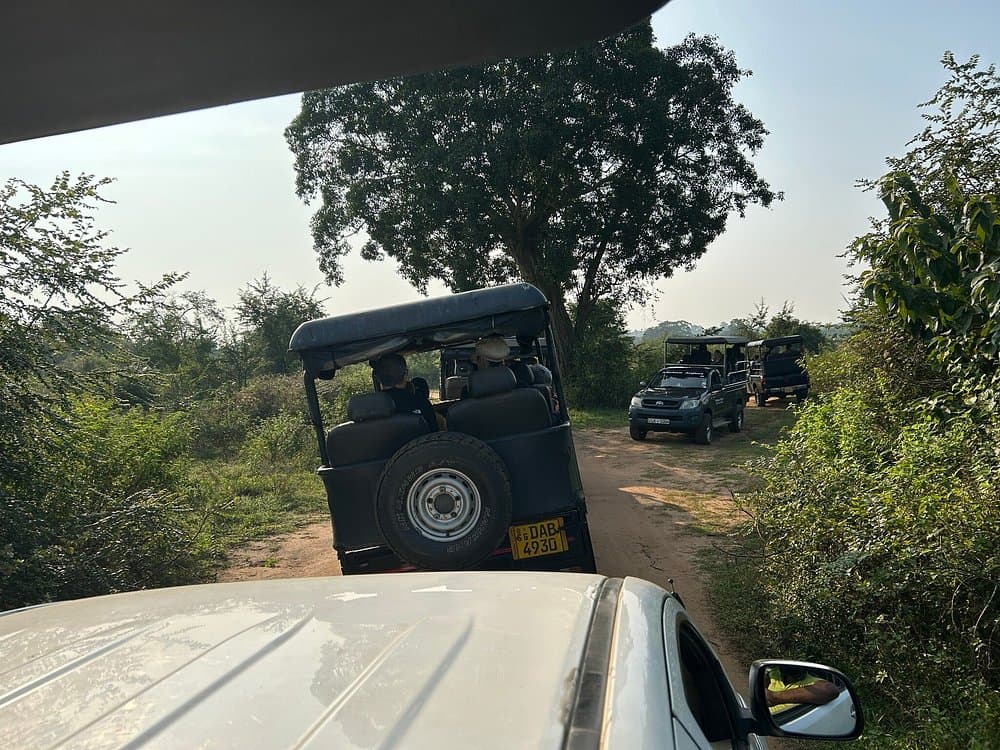 Exclusive Safari Experience